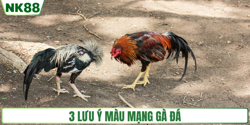 3 lưu ý cần biết về màu mạng gà đá