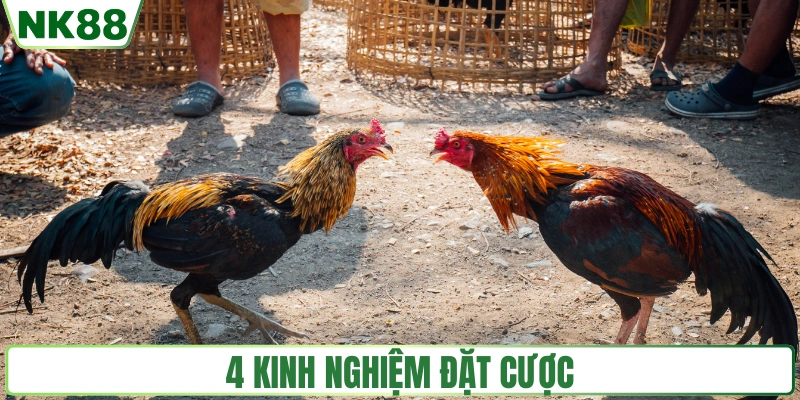 4 kinh nghiệm đặt cược tại Sabong