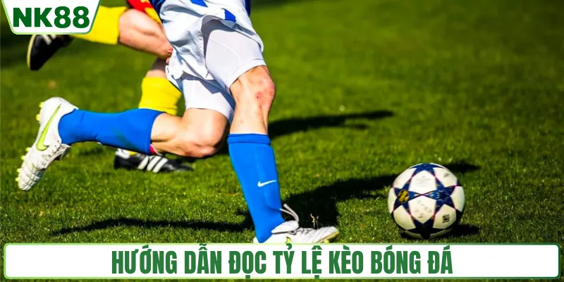 Cách đọc kèo bóng đá cơ bản tại NK88