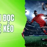 Hướng Dẫn Cách Đọc Tỷ Lệ Kèo Dễ Dàng Tại NK88 1 cách đọc tỷ lệ kèo