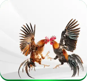 NK88 ⭐️ Trang Chủ NK88.COM > Đăng Ký - Đăng Nhập Tặng 88K 7 Đá Gà NK88