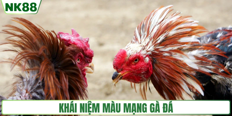 Khái niệm của màu mạng gà đá
