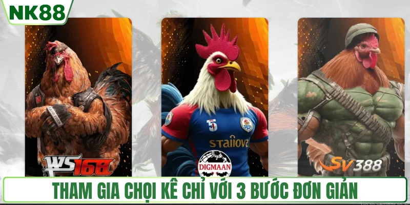 Tham gia chọi kê chỉ với 3 bước đơn giản 