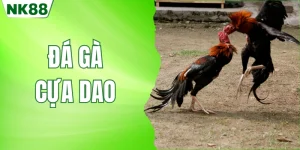 đá gà cựa dao nk88